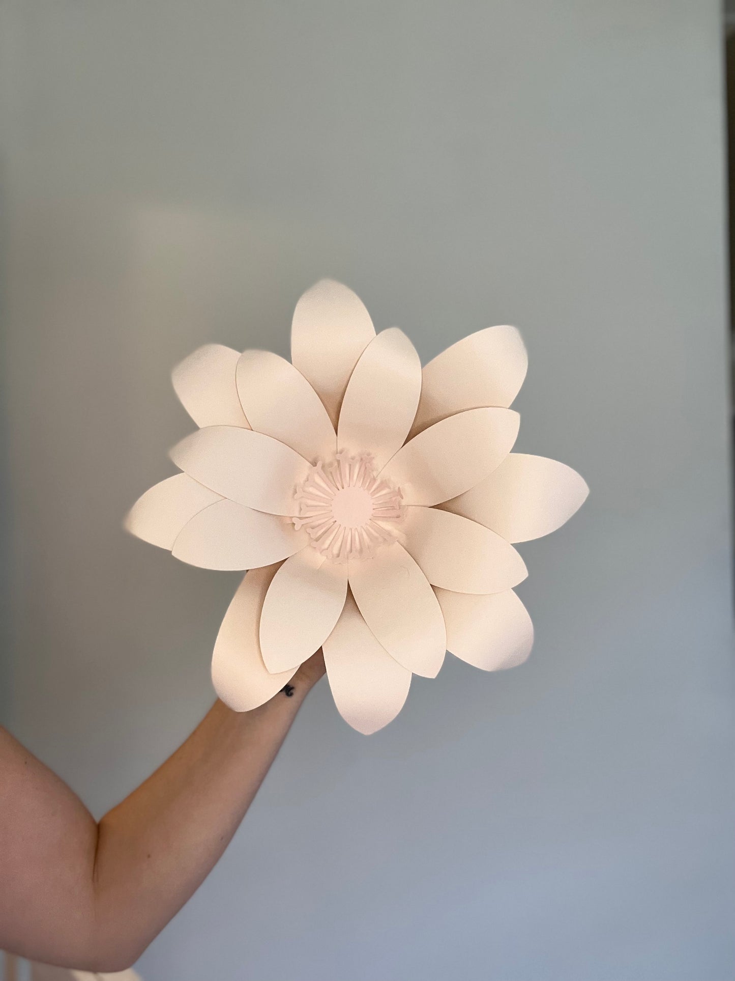 XL Paper Flowers (sold individually)